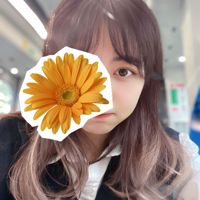 dandelion_alice