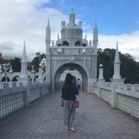 Roserosevine🌷