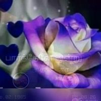 🔥🔥💝💝MYVIZHI💝💝🔥🔥