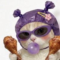 😾😿🙀😽😼😻😹😸😺M°°N⭐🎧(TMB)