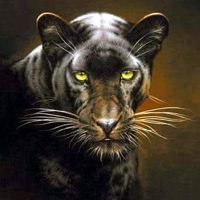 Blackberri