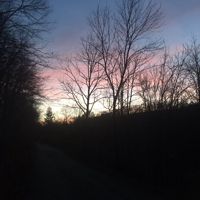 KentuckyGirl381