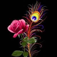 🕎🔸️Venkat_V🔸️🕎