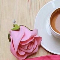 saramagdy8686