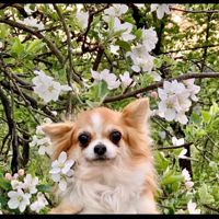 Jacinta_lambily_🇲🇨