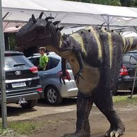 CauãSilveira