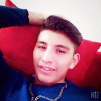 fernandiho01800