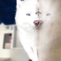 ᗰᗩ𝗚ᴰᴿᴬᶜᴬ✩2ᴿᵃᶜᵘ𝑵