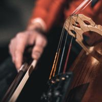 🌵🏖ᘔᴬꞘ🎼Cello🎼🏖🌵
