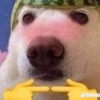 SoyMarlonXD