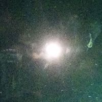 melmel_star075
