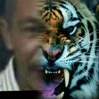 wildansajad