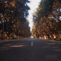 _*Sabhyagupta*_