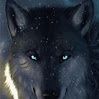 darkwolf22