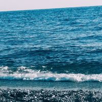 Antonella_star485