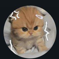 ɴᴏʀᴜꜱʜ