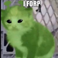 beenus4lyfer