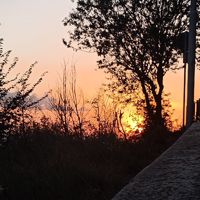 Vale_star_star90