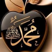 user69بوديالكتكوت455