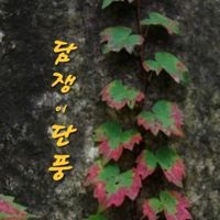 담쟁이단풍