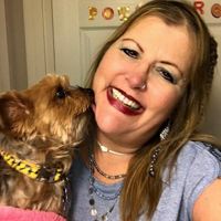 🦋Butterfly&Yorkie🐾