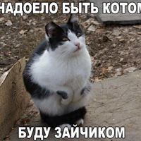 ВладикТихонов