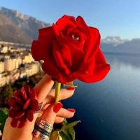 SapanNa_star80410632