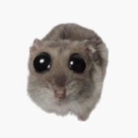babedas_