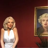 Sashamaya
