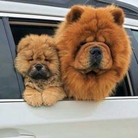 teddybear<3