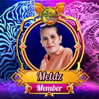 MELD'Z🐉⚜TVD👑🐅