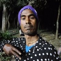 SonatonHalar