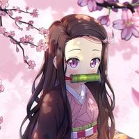 nezukochan🌸