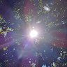 BaileyRey