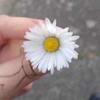Sarah-J_star96244712