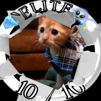 💎GatoBrasil👽🌨️