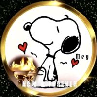 🌹Meyめい(⁠ᵔ⁠ᴥ⁠ᵔ⁠)ᴺᴼᵂ