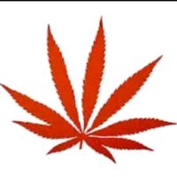 ꧁࿙ᴿᴱᴰ🍁𝐕𝐄𝐋𝐕𝐄𝐓࿚꧂