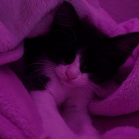 Makayla_welcome