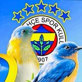 Miraçsamigenç