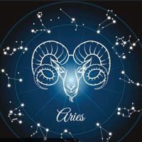 💥ARIES¹³💥