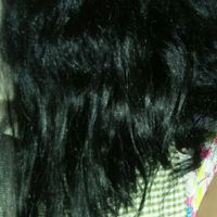 RimayKaNadiaLee