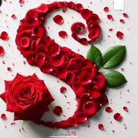 ⭐🎸SARITA.💖SHRI..🎀🎸🌈
