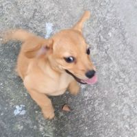 BlurFin