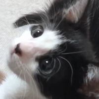 わんしぇん😺少し復活🏥🤭😊