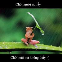 💦chỉ💦yêu💦mình💦em💦