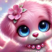🌸cherry🌺blossom🌸
