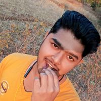 PatitapabanB_star455