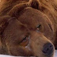 VladSantos🐻💔