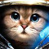 캣츠너catsnar